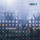 voice_it